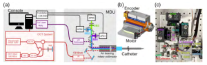 Fig. 1[1] (a) FLIm-OCT システムの概略図。カテーテル、MDU、FLIm、OCTの各モジュールで構成されている。(b) ロータリーコリメーターの3Dモデル。エンコーダは回転軸の角度位置を読み取り、その値は画像再構成と同様に回転軸のクローズドループ制御に使用される。